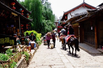 20130505-DSC01883.jpg