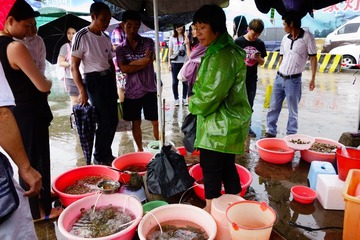 20130611-DSC02091.jpg