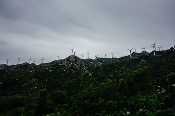 20130611-DSC02095.jpg