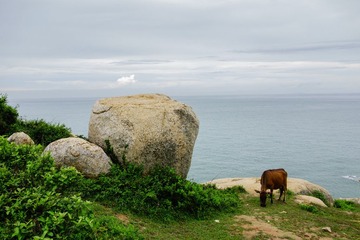 20130611-DSC02119.jpg