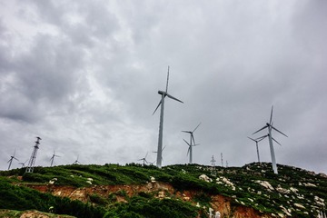 20130611-DSC02121.jpg