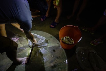 20130611-DSC02238.jpg