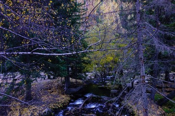 20130930-DSC02729