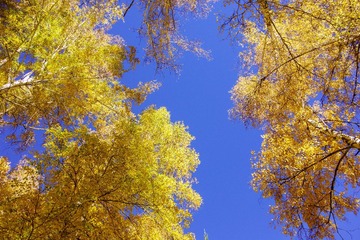 20130930-DSC02820
