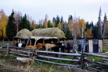 20131002-DSC03328