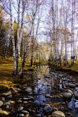 20131003-DSC03567