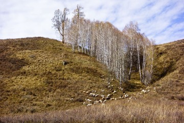 20131003-DSC03620