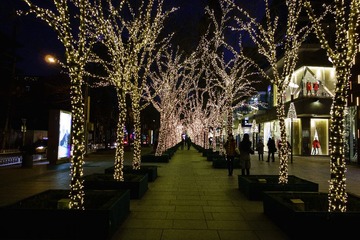 20131229-DSC04175