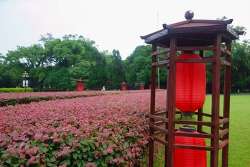 20140531-DSC05761