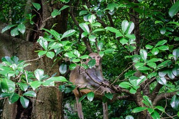 20140601-DSC05989