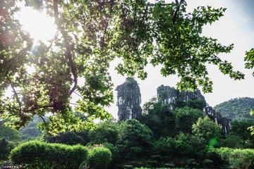 20140601-DSC06005