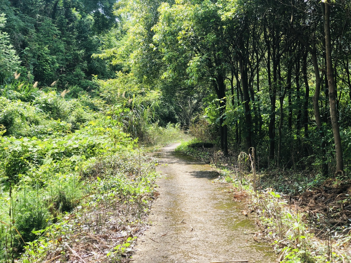 山里的景色随手拍