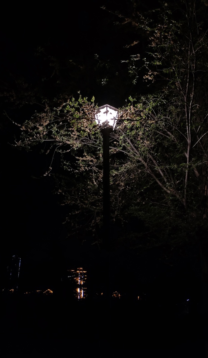 孤独的夜孤独的人孤独的心在黑夜中慢慢沉沦