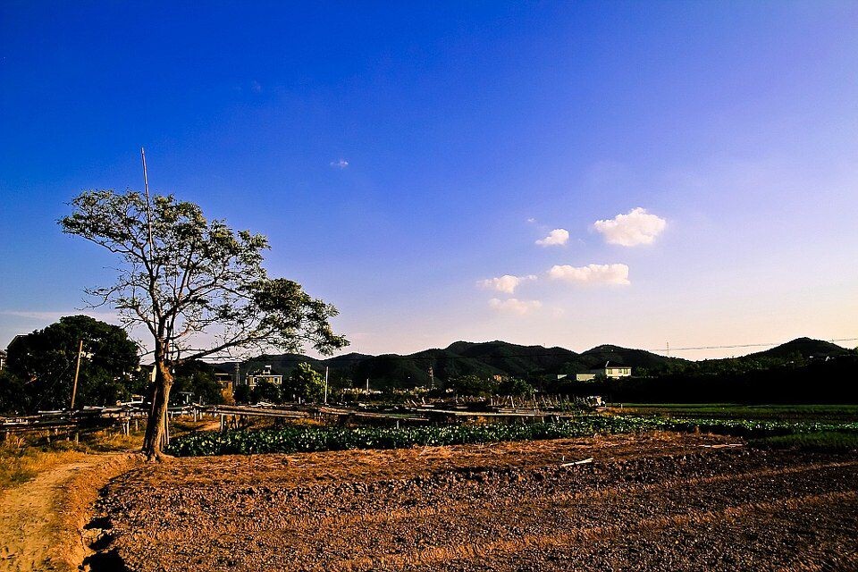 IMG_7122_<br />
朱家尖的傍晚田间