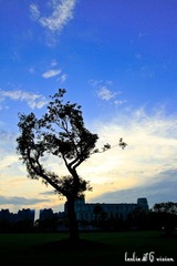 IMG_5158_.jpg