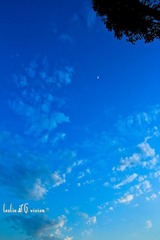 IMG_5164_.jpg