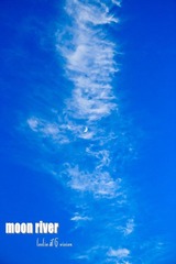 IMG_5175_.jpg