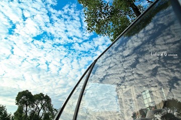 IMG_5061_.jpg