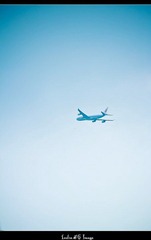 IMG_5615_.jpg