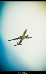 IMG_5696_.jpg