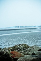 IMG_5747_.jpg