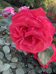 92F171CC-0366-4249-9CF2-582E3853CCA6/L0/001