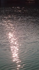 045D8D93-87B4-41CF-82D9-DE0731844BB8/L0/001