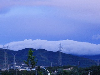 262459