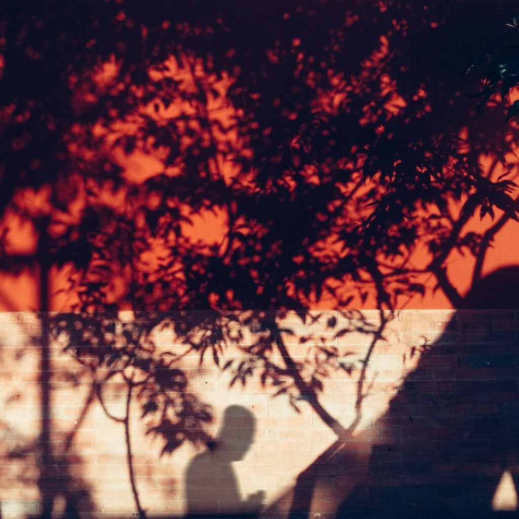 清晨去古寺，初日照高林