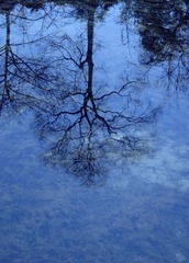2012.2.1.0.jpg