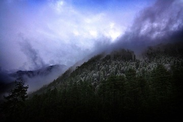 _MG_0401.jpg