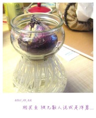 2011.10.22.jpg
