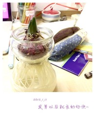 2012.1.11.jpg