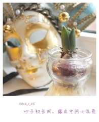 2012.1.25.jpg