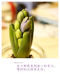 2012.2.4.jpg
