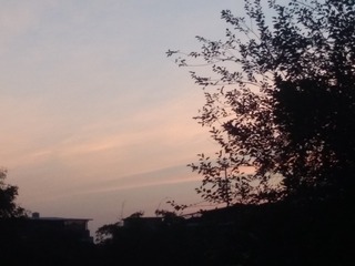 IMG_20210703_050814