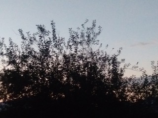 IMG_20210703_045538