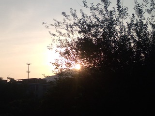 IMG_20210703_055152