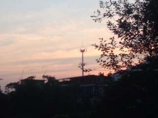IMG_20210703_051420