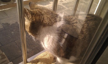 IMG_20120125_101211.jpg