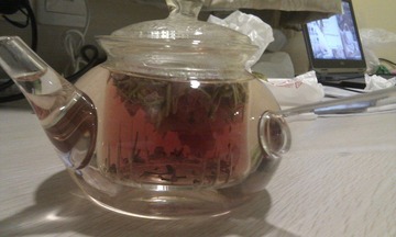 IMG_20120206_202055.jpg