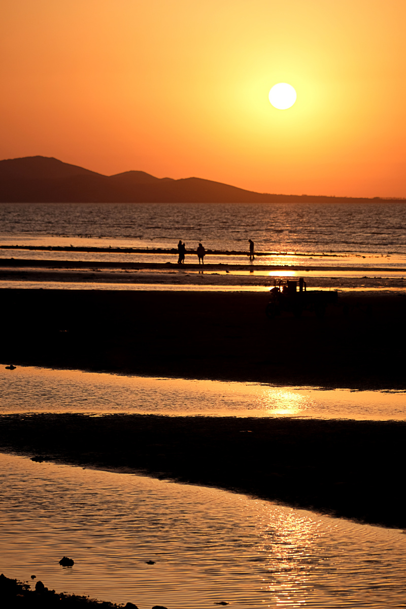 夏家河子海滨观落日