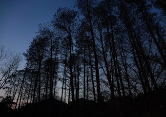 DSC03792PS.jpg