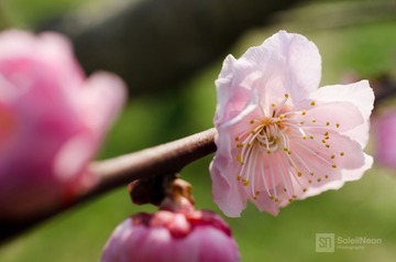 DSC_7309_1600.jpg