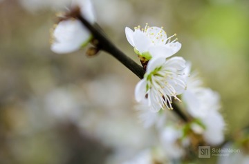 DSC_7389_1600.jpg