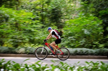 The Biker_1600.jpg