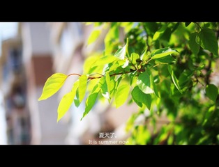 IMGP8479.JPG