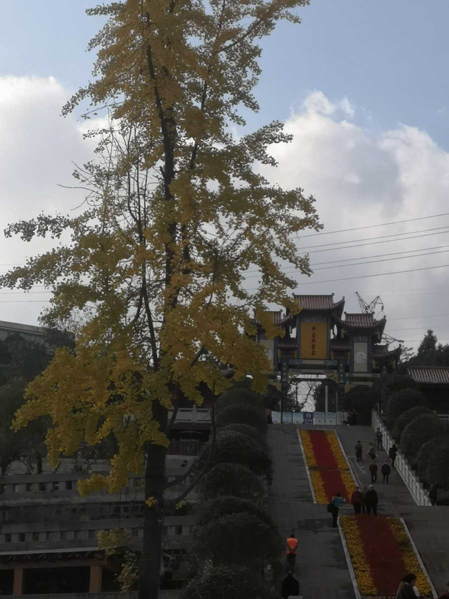 晚秋中的射洪花果山公园