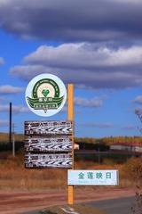 塞罕坝