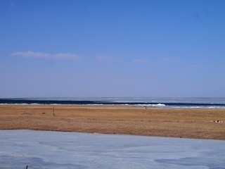 P1294504